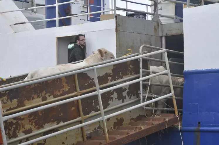 Chargement d’un bateau pour l’Algérie depuis le port de Sète.