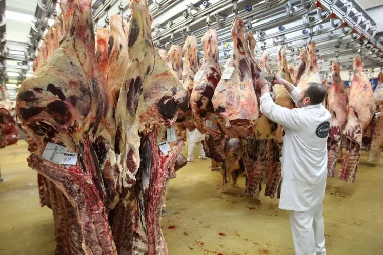 Une partie de la production bovine française n'est pas en phase avec la demande intérieure.