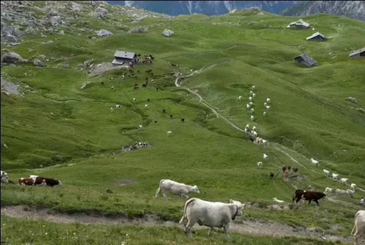 L’initiative «vallée bio » commence à s’ancrer dans le nord des Hautes-Alpes.