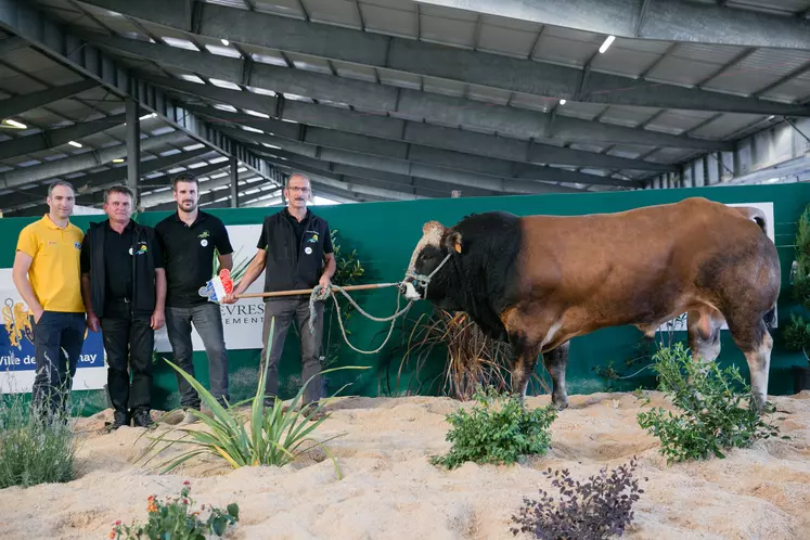 concours national parthenaise 2019