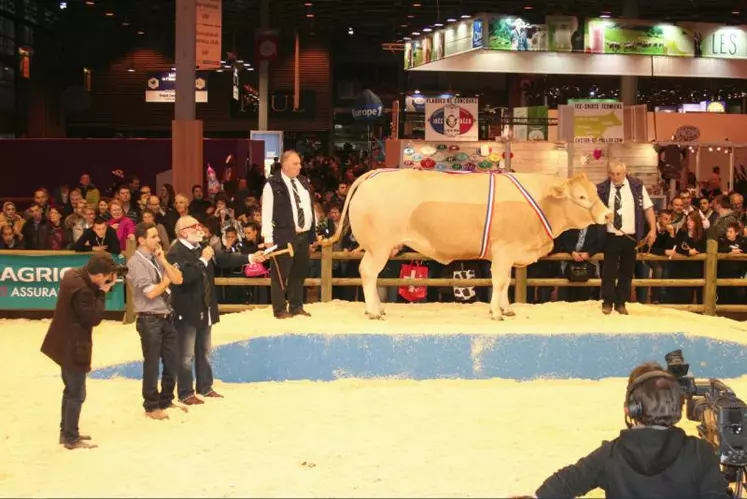 La vache la mieux vendue au cours de ces salons parisiens est cette Blonde proposée par l’EARL Duluard, dans la Sarthe, qui est destinée à un magasin de l’Hérault.