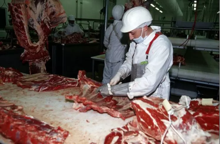 Désossage d'avants de gros bovins dans un abattoir d'Aurillac. Il existe 4 AOC, 6 IGP et 18 labels rouges de viande de gros bovins.