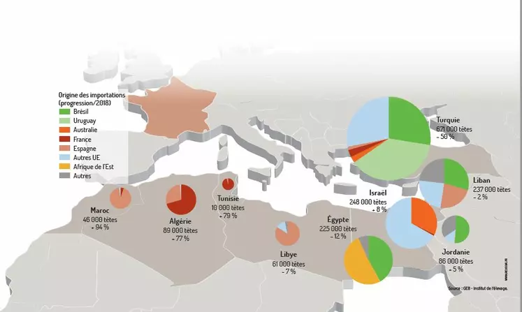 infographie export de bovins vifs sur pays tiers