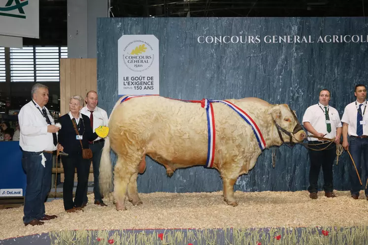 champions charolais salon de l'agriculture 2020