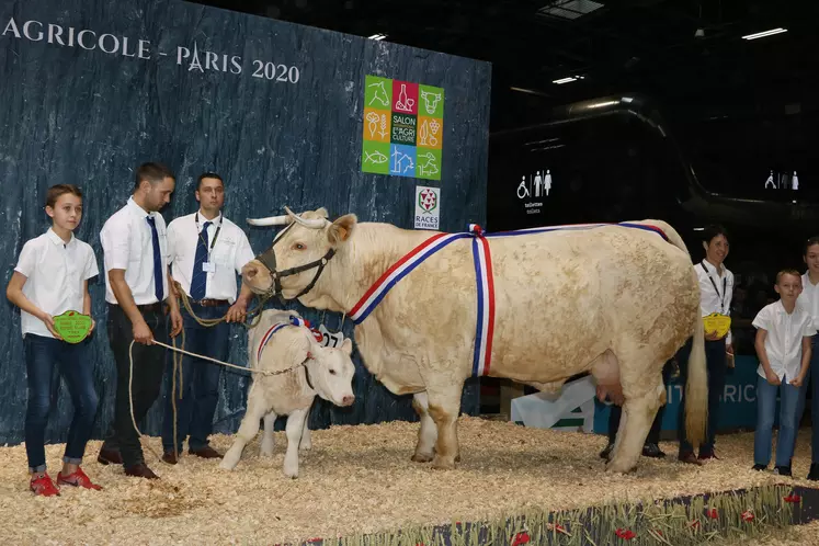 champions charolais salon de l'agriculture 2020