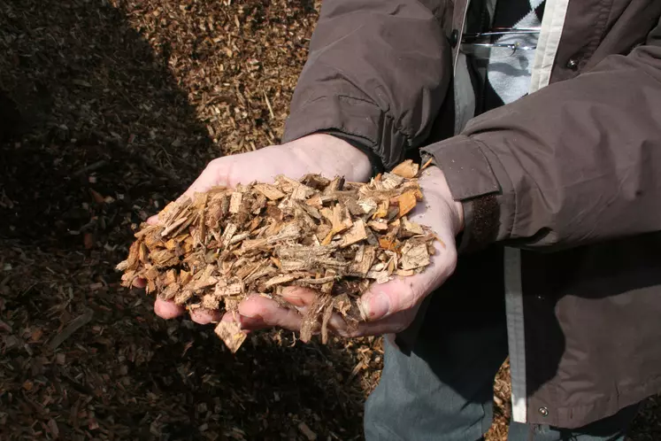 Des plaquettes de bois en litière récolte et conservation