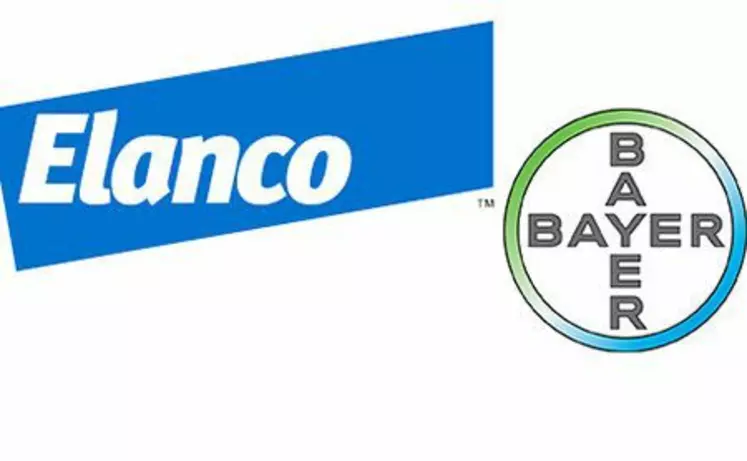 Elanco Bayer