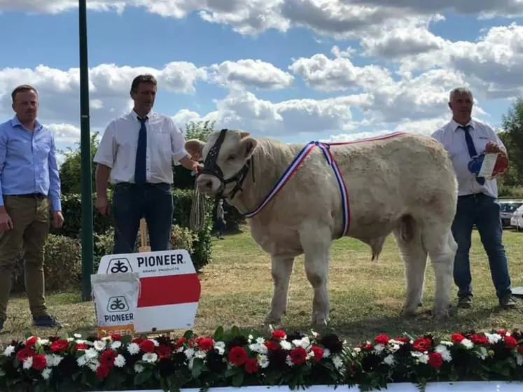 charolaise concours national des veaux 2020