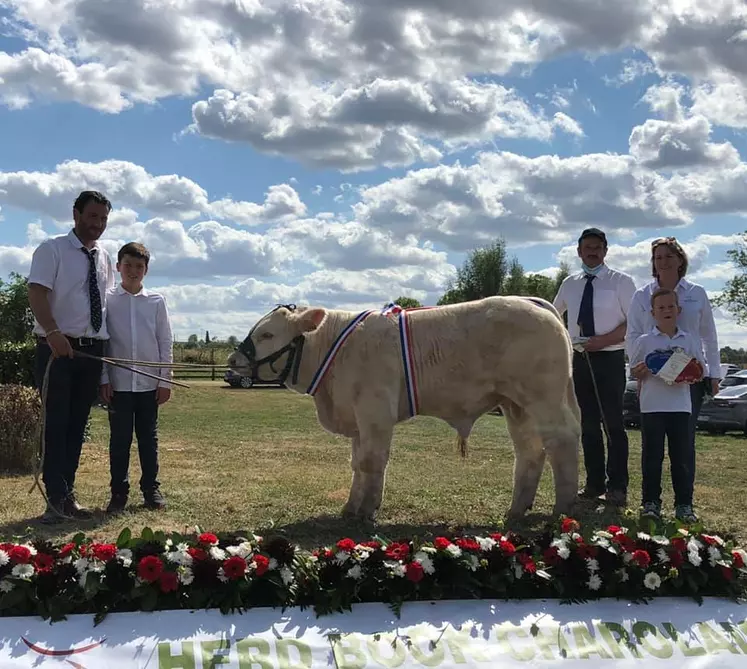 charolaise concours national des veaux 2020