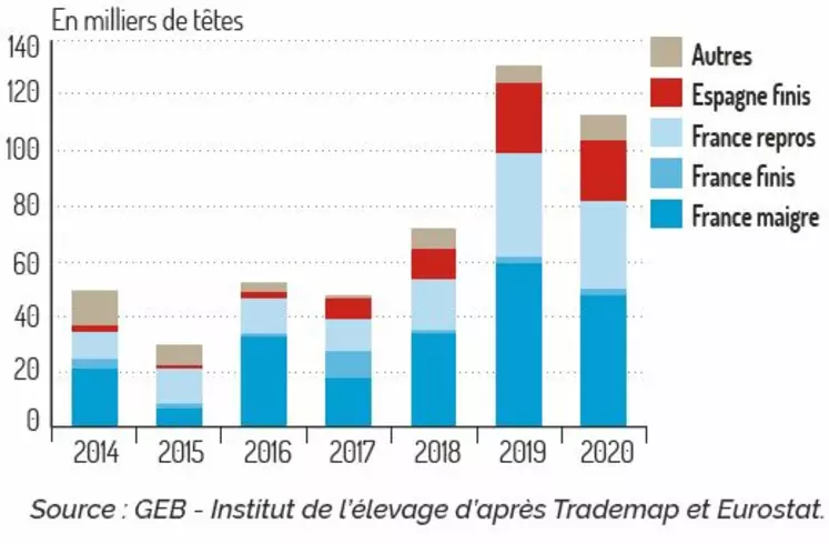 graph export bovins vifs en 2020