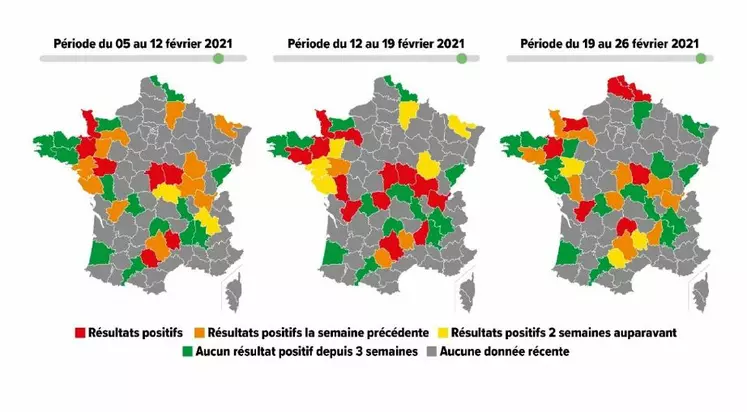 Zoetis cartographie épidémiologique virus respiratoire syncytial bovin