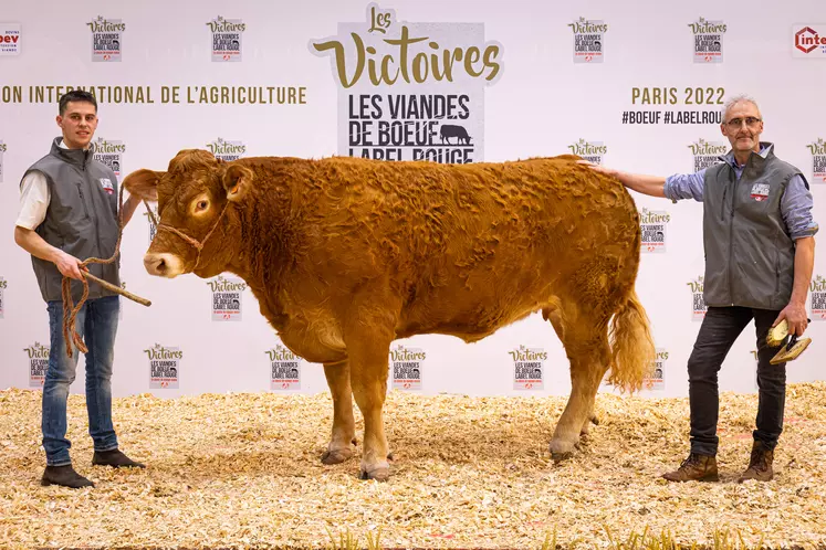 Salon De Lagriculture 2022 Le Palmarès Des Victoires Des Viandes De Bœuf Label Rouge 