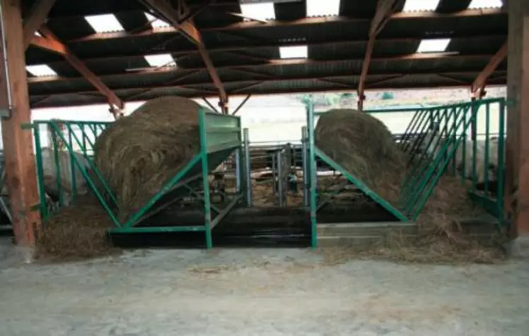 Ces râteliers prototypes réalisés sur mesure par une
entreprise locale de Creuse. Ils permettent à cinq vaches de manger côte à côte.