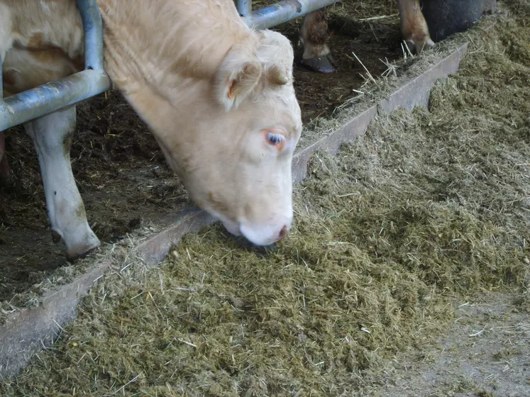 alimentation auge ration complète