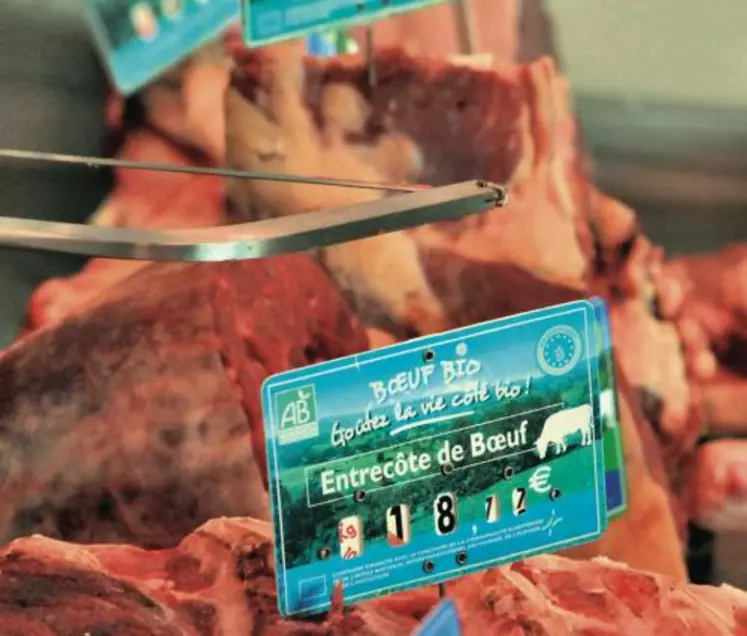 En viande bovine, les tonnages sont pour l’instant modestes. Ils représentaient en 2007 à peine 0,5 % du total des abattages français.