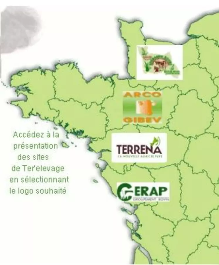 Ter'elevage est une union de coopératives et constitue une des principales organisations de producteurs de bovins en France.