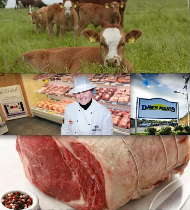 L'entreprise irlandaise Dawn Meats emploie 3350 personnes dans huit pays différents.