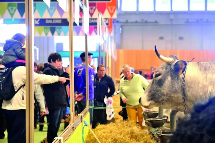 Sia 2014. Cette année encore, plus de 700 000 visiteurs sont attendus porte de Versailles avec une nouvelle fois la volonté de vulgariser le monde de l’élevage auprès des petits citadins.