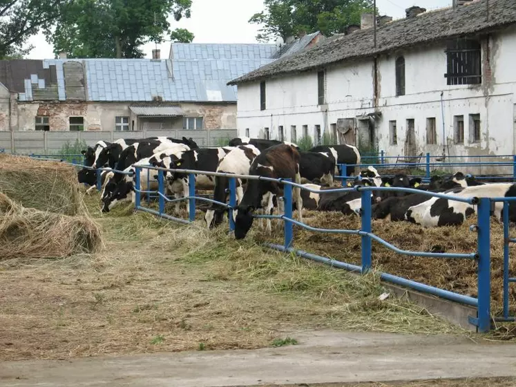 La Pologne a exporté 42 000 téc (tonnes équivalent carcasse) de viande bovine réfrigérée sur les deux premiers mois de 2015.