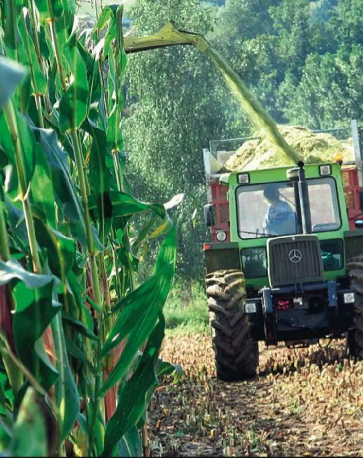 Les résultats des essais aident à choisir les variétés sur des critères agronomiques.