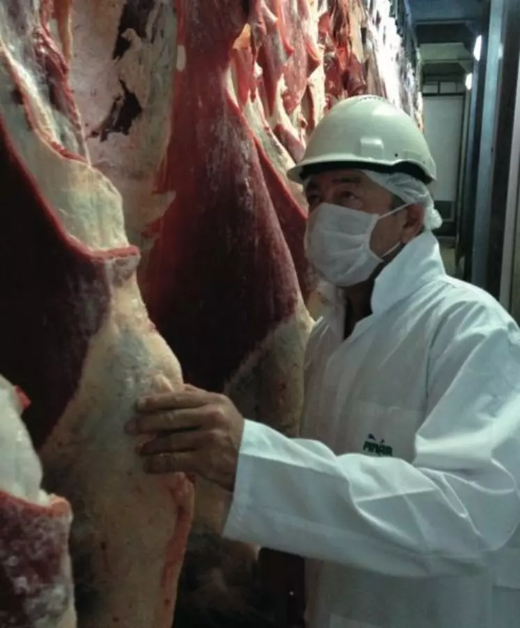 Au crochet,
des carcasses de jeunes bovins holsteins passent à
la découpe. Ils pourraient être classés O2.