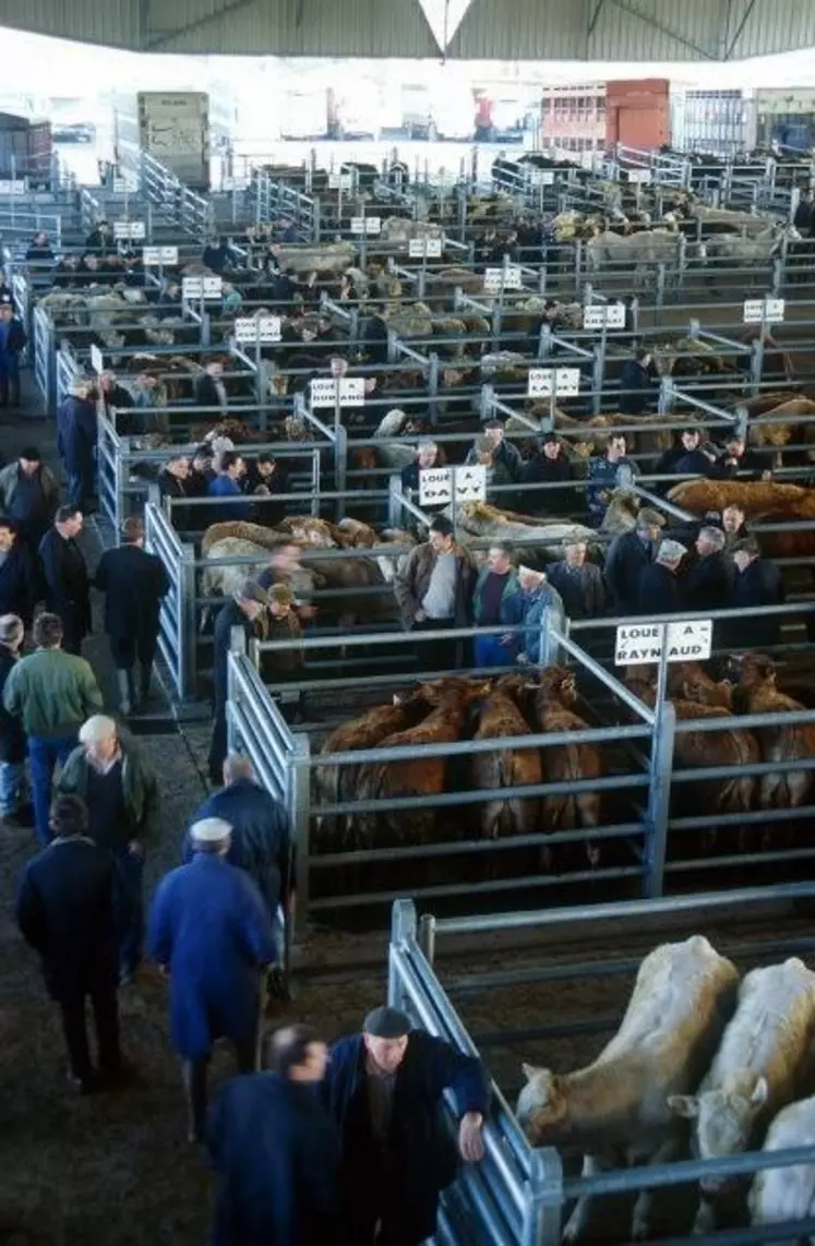 Marché aux bestiaux de Laissac dans l'Aveyron. Les apports sur les marchés sont constitués à 77 % par les marchés de gré à gré.