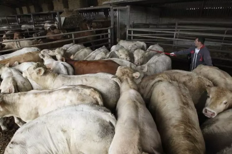 Le niveau de formation des agriculteurs augmente : d’ici dix ans, la moitié des jeunes installés auront un niveau de formation au moins équivalent à ceux de leurs conseillers.