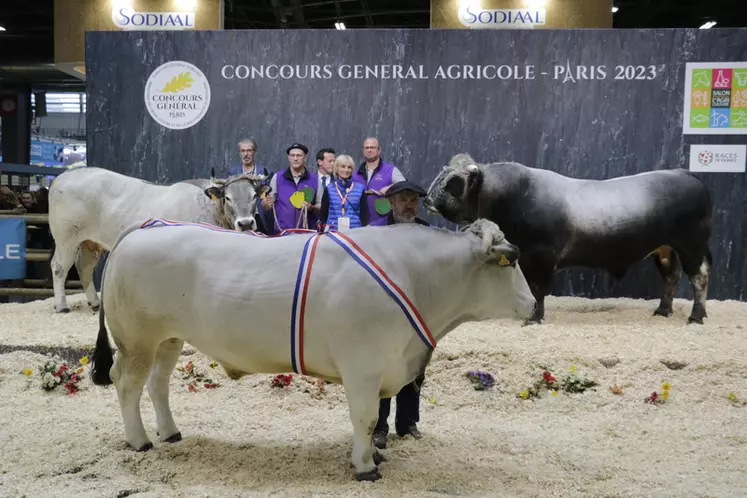 Photo des champions du concours de reproducteurs et d'animaux gras au Salon de l'Agriculture 2023. Ils mettent en avant les deux casquettes du Groupe Gasconne des Pyrénées, à la fois OS et ODG Label Rouge. 