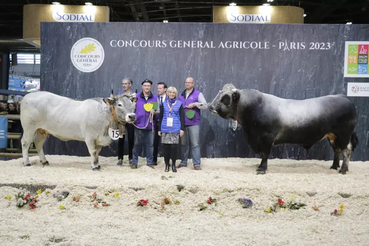 Gazette, appartenant à Patrick Respaud (Ariège) et Passy, issu de l'élevage de Laurent Verdier (Hautes-Pyrénées) ont été désignés champions de ce concours. 