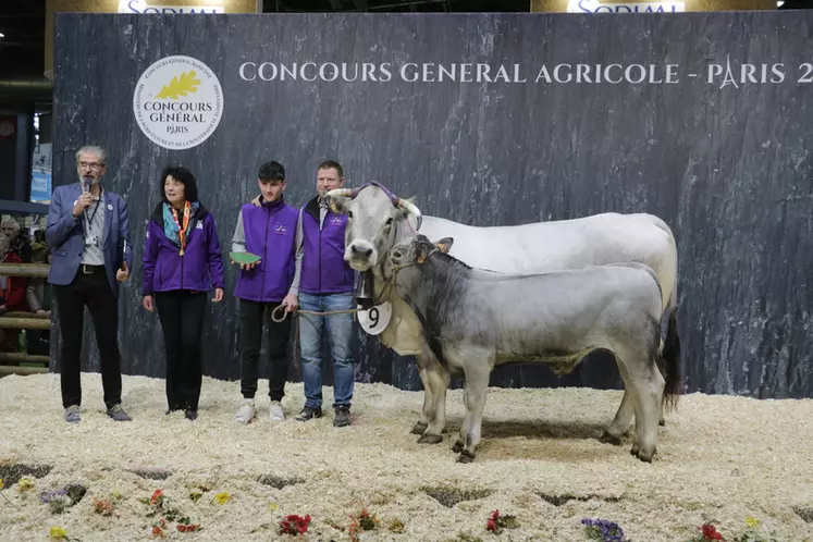 Occitane (du père Vengeur), issue du Gaec de Poy (Haute-Garonne), a obtenu la première place de la section des vaches jeunes suitées. Cette femelle de cinq ans et demi et son veau, Titus (du père Passy), forme un couple très harmonieux. 