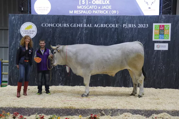Obélix (Moscato x Jade), issu de l'élevage de Patrick Respaud dans l'Ariège finit à la cinquième place. 