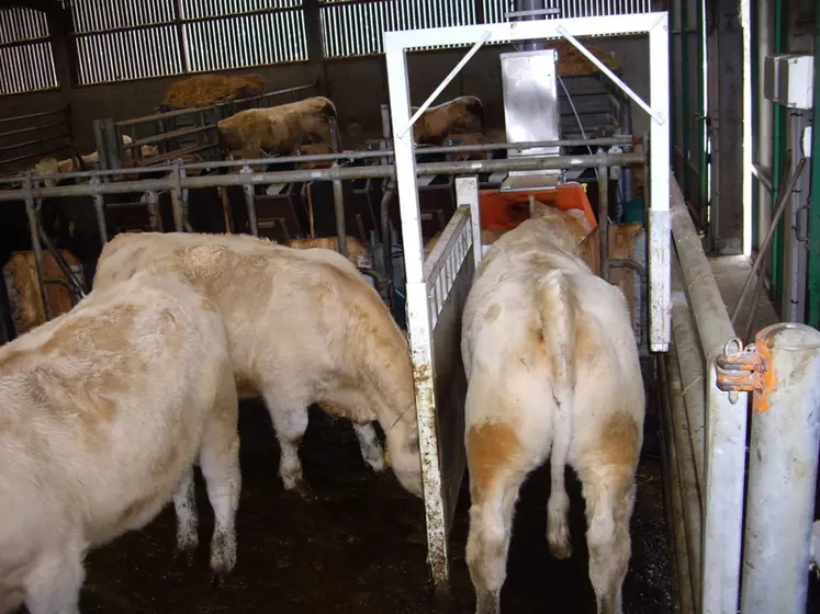 Les Greenfeed sont des stalles de mesures du méthane entérique émis par les bovins. © G. Renand