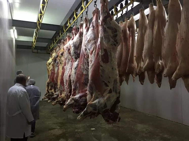 La viande bovine est mal valorisée en Ukraine. Son prix est aligné sur celui de la viande porcine. © Institut de l’élevage