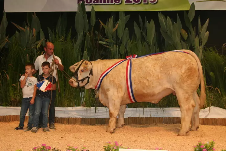 Prix de championnat femelle junior : Nébuleuse à l’Earl Dauvillaire (Rhône)  © F. d'Alteroche