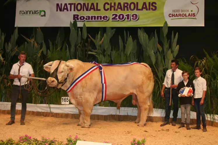 Grand prix de championnat mâle : Marabout à l’Earl Batho Serge (Nièvre)  © F. d'Alteroche