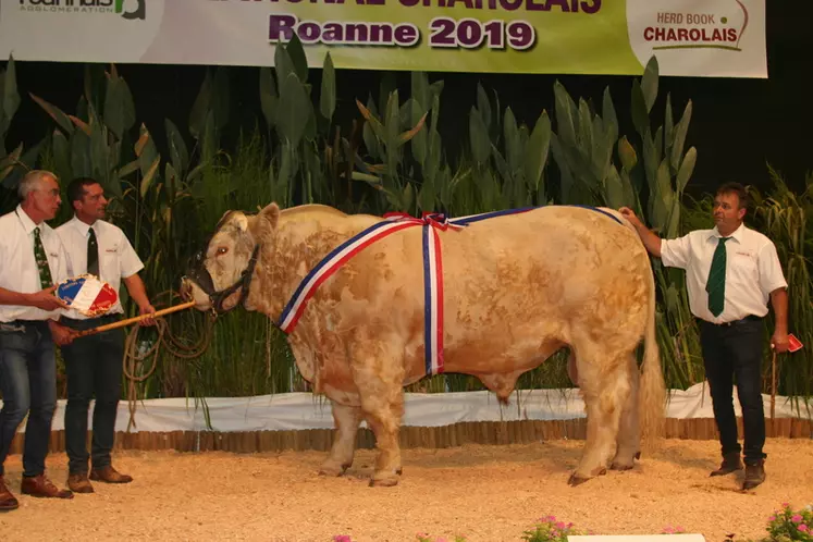 Prix de championnat mâle junior réserve : Newlook au Gaec Richard et à Laurent Robichon (Vendée)  © F. d'Alteroche