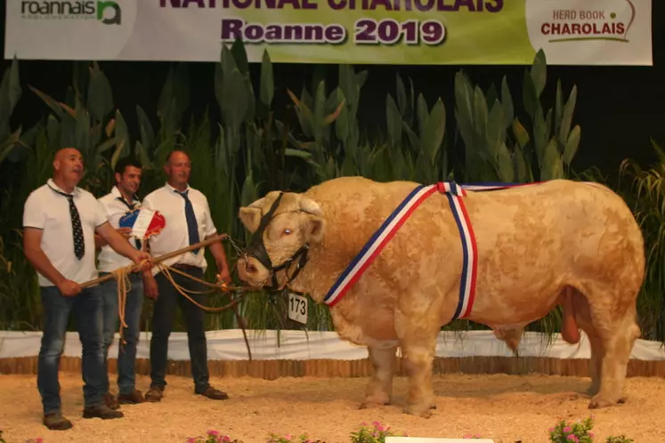 Prix de championnat mâle sénior réserve : Matheo à Alain Birot (Deux-Sèvres) © F. d'Alteroche