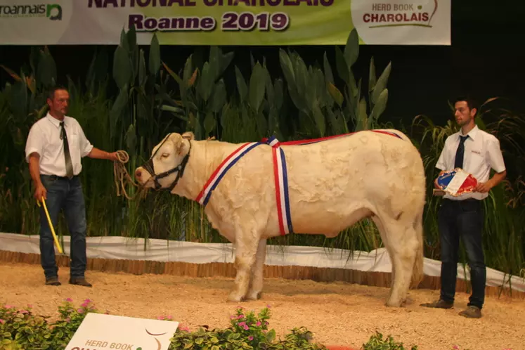 Prix de championnat femelle junior réserve : Olympiade à la Scea Bonnichon (Cher)  © F. d'Alteroche