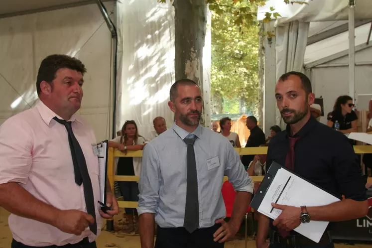ard Belard (Aveyron), Benoît Souvignet (Cantal) et Paul Vannier (Saône et Loire), trois des juges de ce concours. © F. d'Alteroche