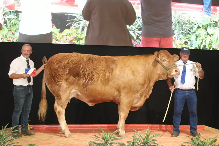 Prix d’honneur femelle adulte : Jouvence à Philippe Deshoulieres (Haute-Vienne) © F. d'Alteroche