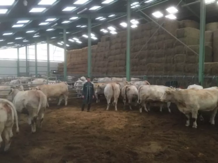 Simon Dumontet, ferme de la Cueillerie, Saône-et-Loire © Ferme de la Cueillerie
