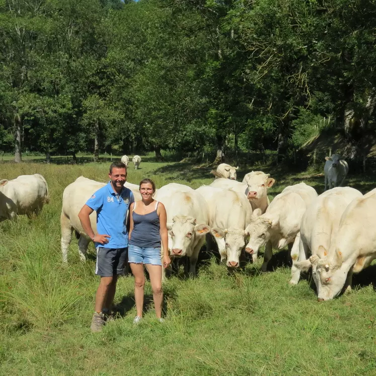 Élodie et Florent Gobet élèvent 75 à 80 Charolaises à Propières dans le Rhône) et commercialisent tout en vente directe. © Gaec Gobet