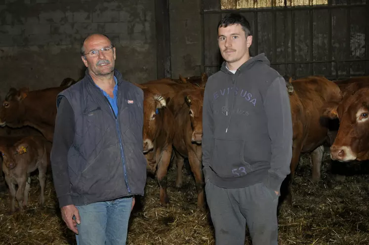Gérard et Fabien Fabre ont supprimé récemment 200 brebis laitières et augmenté le troupeau bovin à 70 vaches en prévision de la retraite des parents, récente pour l’un, imminente pour l’autre. © B. Griffoul
