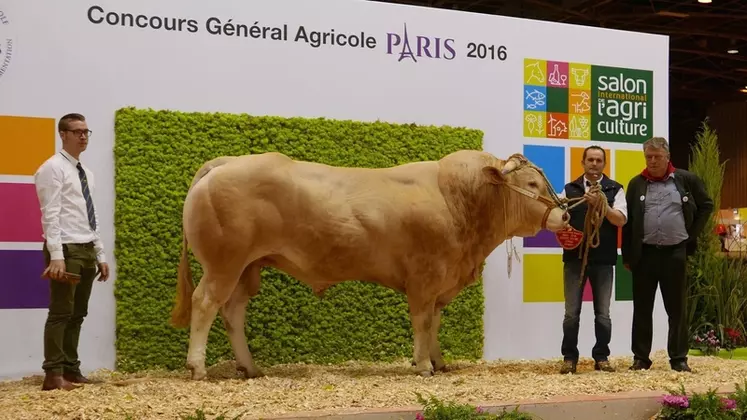 Marc-Antoine et Christophe, avec Istarra, taureau en copropriété et deuxième prix au Salon de l’agriculture de 2016. © DR