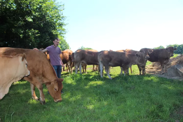 Sébastien Plouzennec - ici avec ses génisses de 15 à 18 mois - élève un troupeau de type mixte viande avec un taux de renouvellement autour de 40 %.