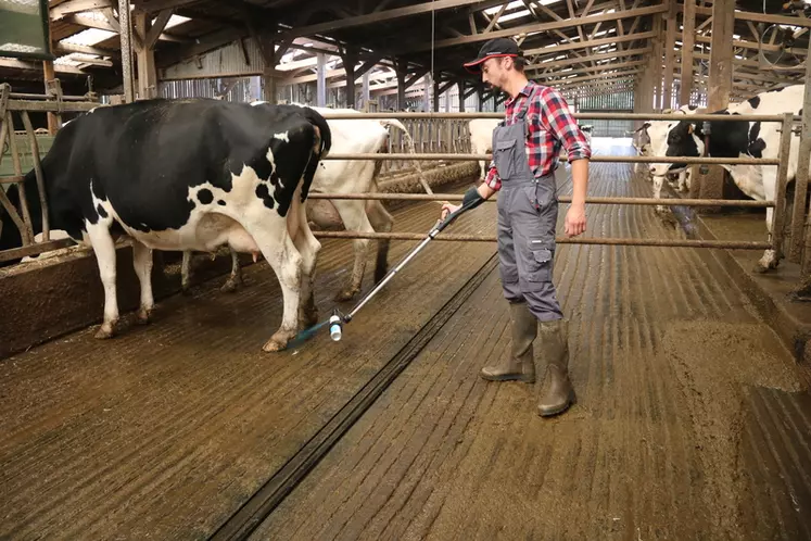 Une canne pour vaporiser les sprays sur les pieds des bovins à distance