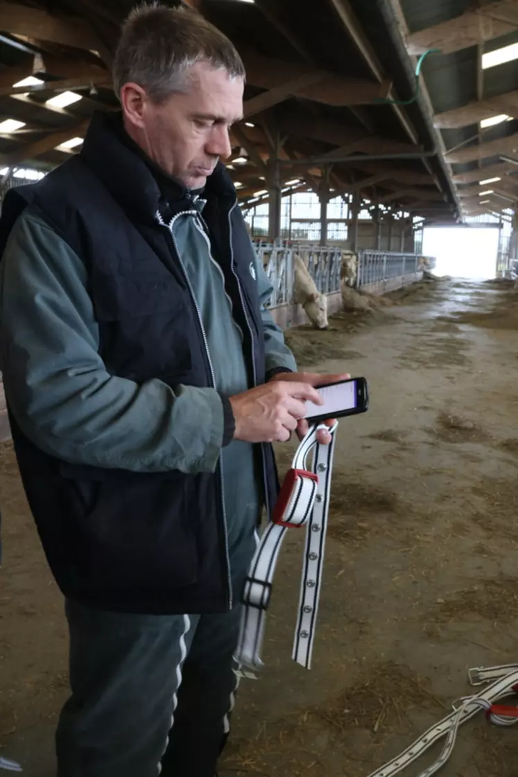 L’application Farmlife donne accès facilement aux informations, tableau de bord et alertes du troupeau.