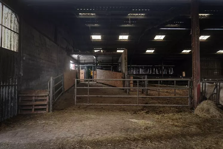 L’ancienne salle de traite des vaches laitières, production abandonnée au profit du tout allaitant en 2017, est accessible par une rampe en béton. Grâce à une barrière amovible, les éleveurs peuvent diriger les animaux vers le couloir qui conduit à cage de contention qui est équipée d’une balance ou directement au camion.