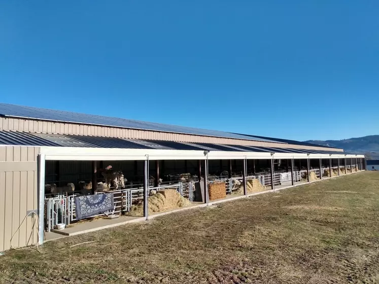 Le petit décrochement dans la toiture entre la partie du toit situé au-dessus des cases des veaux et celle située au-dessus des cases des vaches est constituée de bardage perforé permettant de conforter les entrées d’air. 