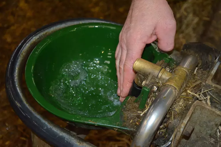 Du surpresseur, l’eau part dans les canalisations et c’est une eau claire et limpide qui arrive dans l’abreuvoir bol automatique à soupape.
